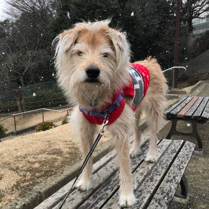 B823b852 a277 4cd2 bc75 cbc0a8537287 1550201970497