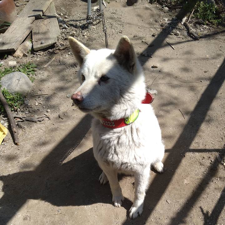 B823dc00 6273 4cf5 ac94 98f07512fb57 1618022267818