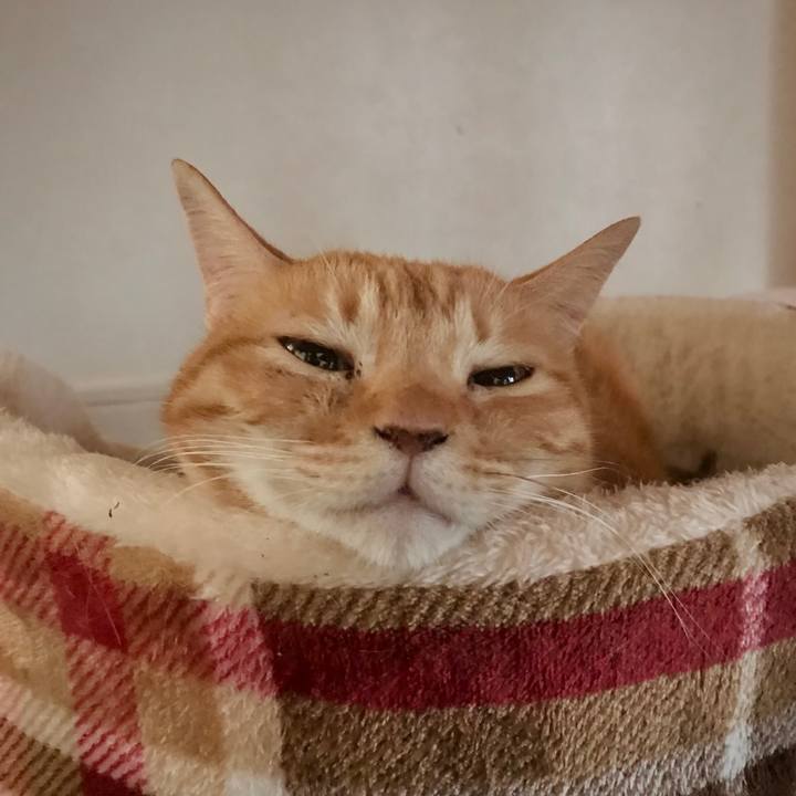 B8242663 9532 4e81 b220 23e7e3ab2e27 1666167694576