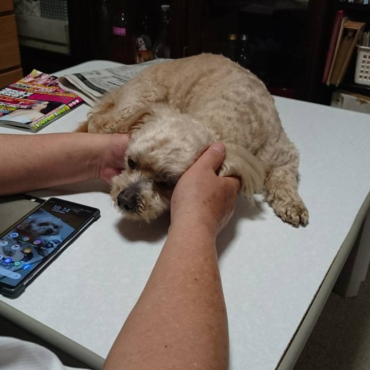 B82427e6 af61 4e3f af37 731f2803fa0e 1589799455297