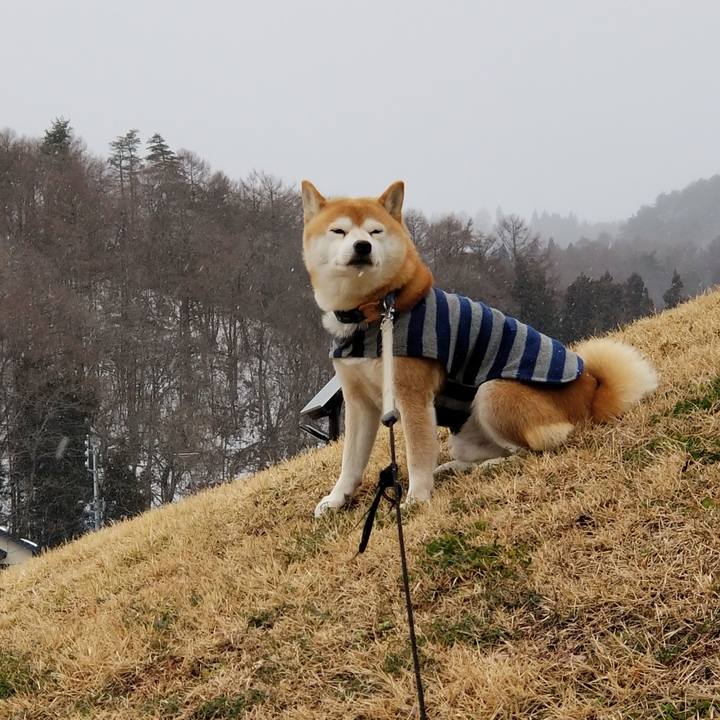 B824340e 364d 4c71 9483 39f40f2d2423 1580879733722