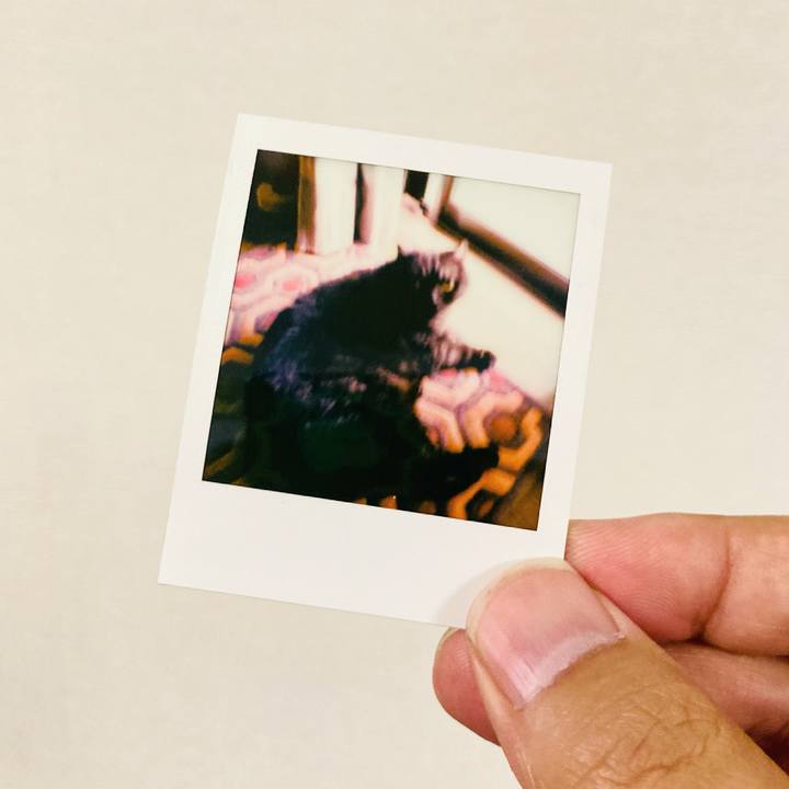 B8245bef cd93 4219 8eb3 d708da0819da 1623603216743