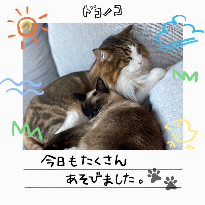 B8245c3b ad74 475a 9e0c f5f87ef03c7e 1755144190721