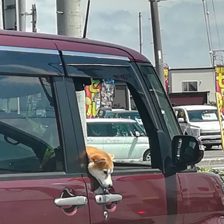 B8246f6f e558 4702 90a8 7b792329789a 1559824450835