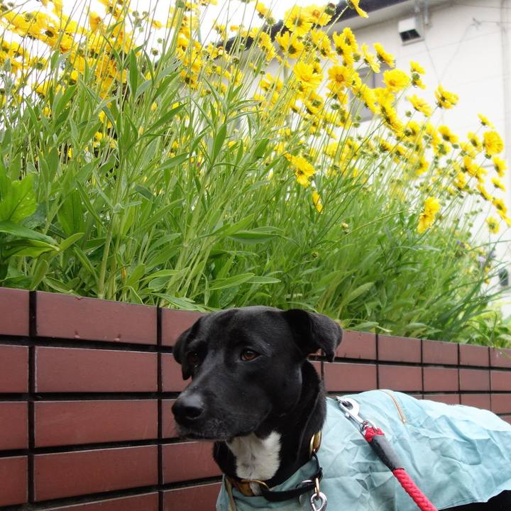 B82488a5 6e7a 4b43 99ba dcc9d9da58a0 1590021448730