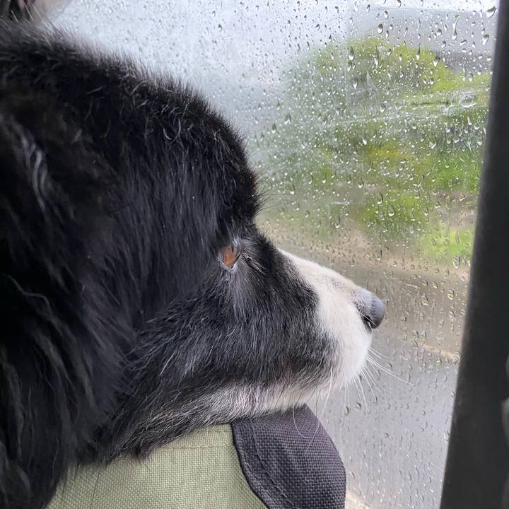 B824a8e6 b80b 42ca aabf 262e290014af 1620166026004