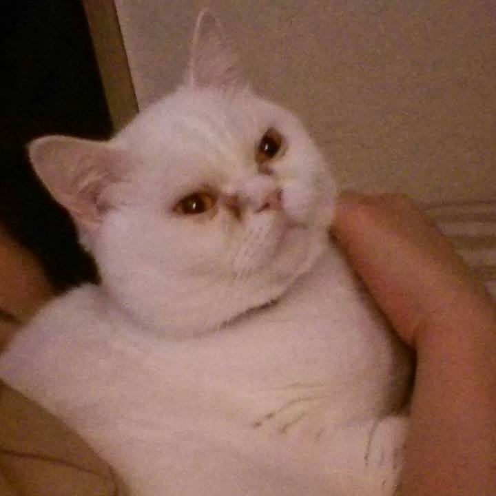 B824e2d6 dbd0 4f94 9cce 8397423e1c3d 1512344585255