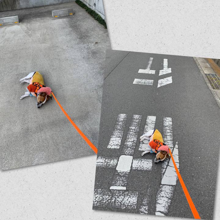 B8255fea cbd7 4373 b979 26d1428db039 1548379022887