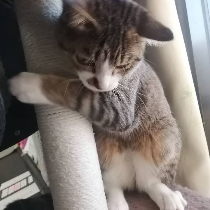 B8256ca3 313c 4218 b3f4 f2003abc975c 1670627346576