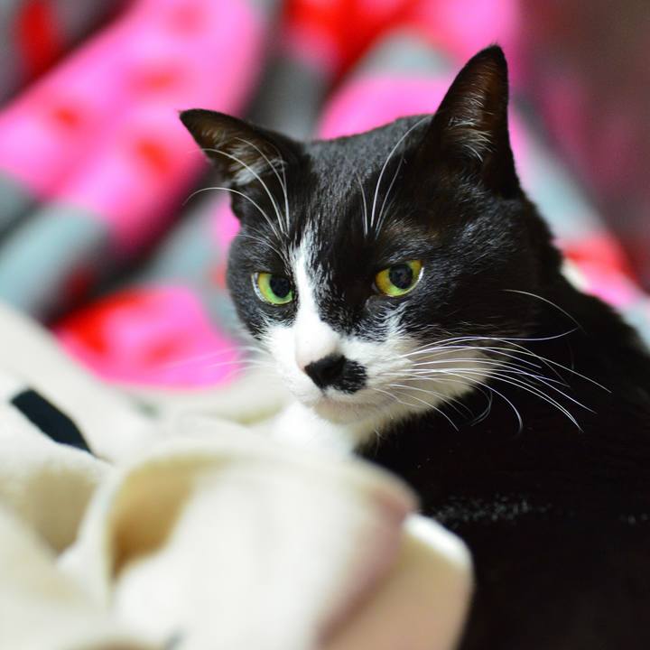 B8256e9c 5f06 4b31 82ce 3dabe719d7fb 1549068400121