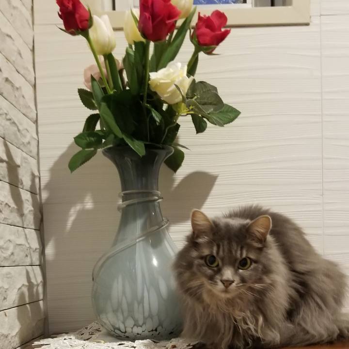 B8259188 901f 448e beaa e28b1a0d11d6 1580633659018