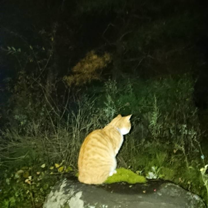 B825b0d5 733b 4ed8 a2dd a1268897e6ae 1605086054701