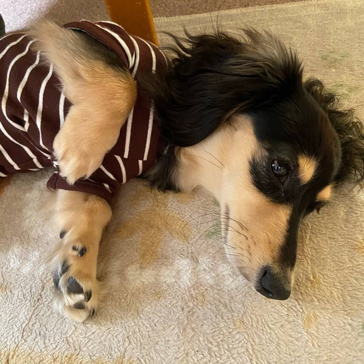 B825be67 6ca6 4d8f 8273 833098b5bfaf 1680748069736