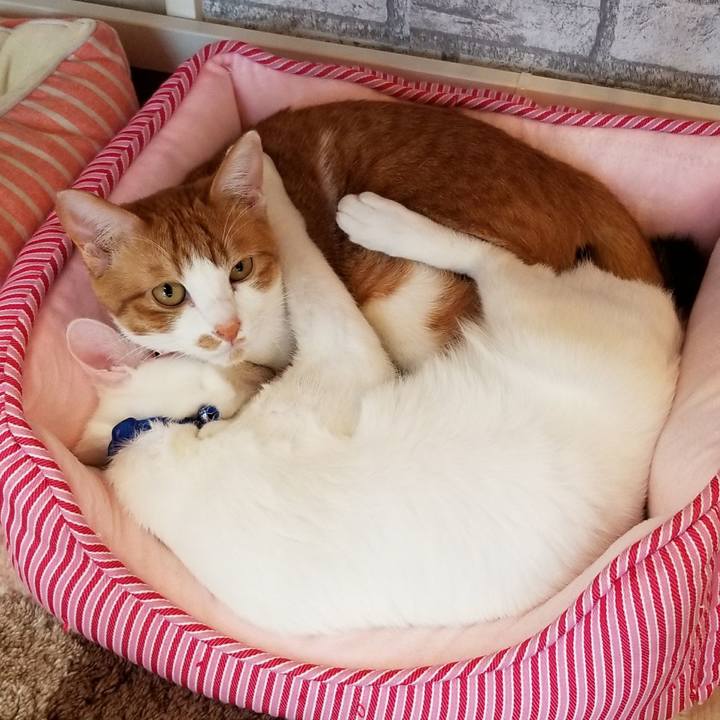 B825d2c8 7e01 4862 883f ec27e6173226 1523691555551