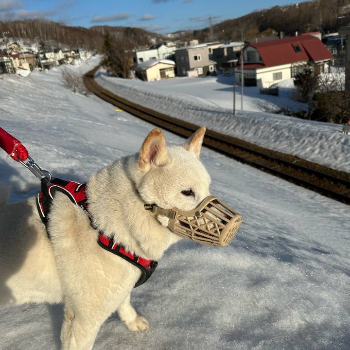 B8260088 4bcc 4349 85fd f8087e426b77 1711492248247