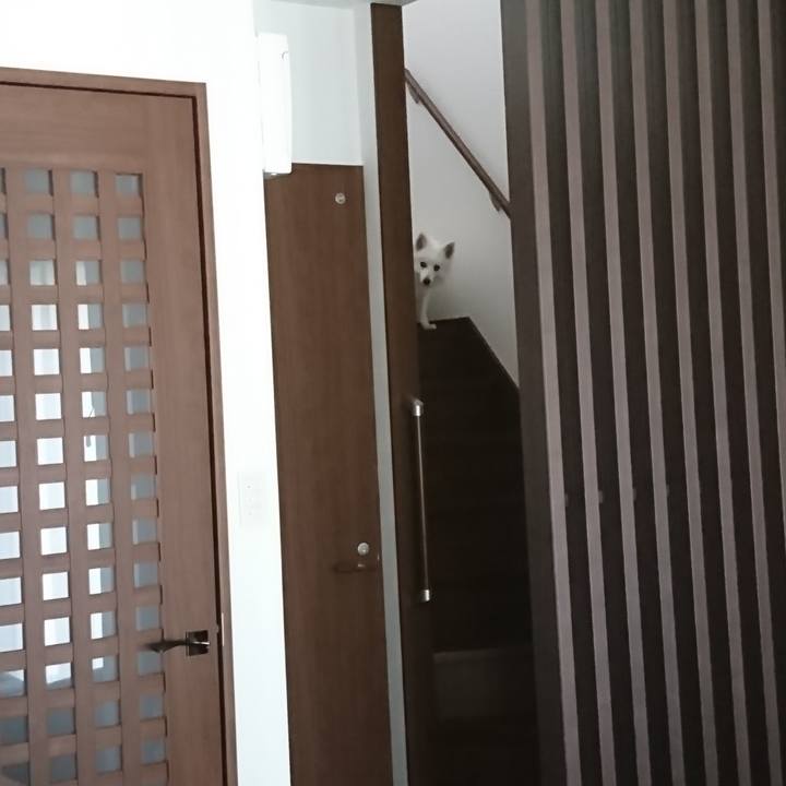 B82600c1 1173 43e1 b0dd acb1f287c5bd 1526601127419