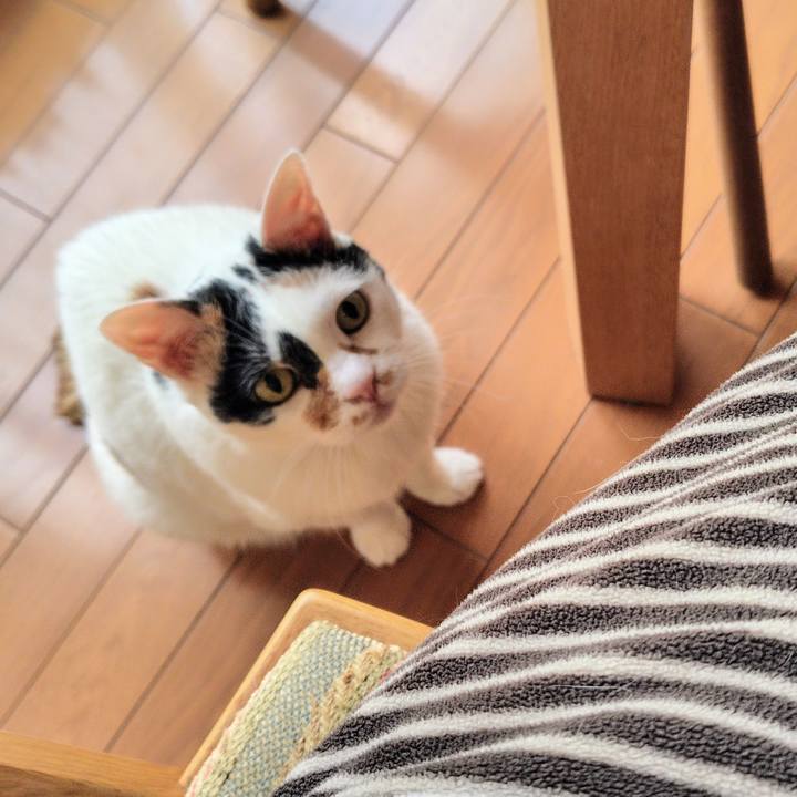 B8260178 d523 4a5e b72e e2680419af92 1741527512071