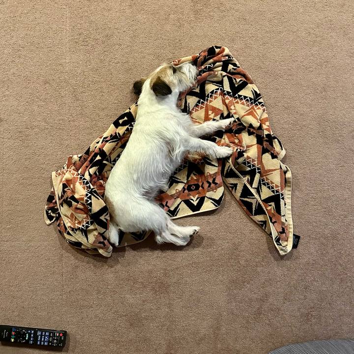 B8261568 07f5 4841 9a13 dad2a8f03982 1692283351752