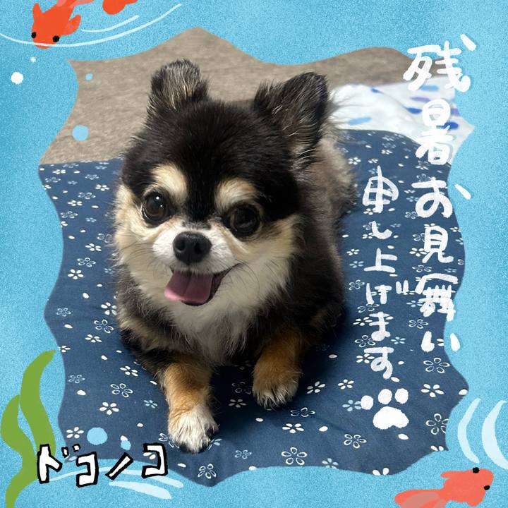 B8261d04 eb0d 4306 99ce a6a71d296dc9 1723174576686