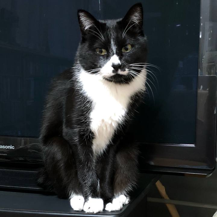 B826213c abbb 4803 a741 1301d1f28180 1640231391872