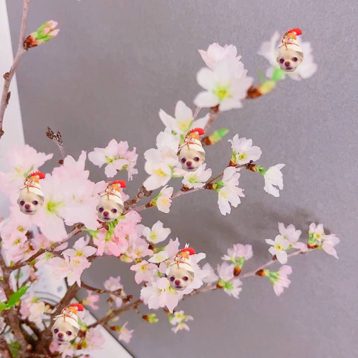 B8262e33 7c43 4b3d 9aa5 e6a2122894a0 1705973109537