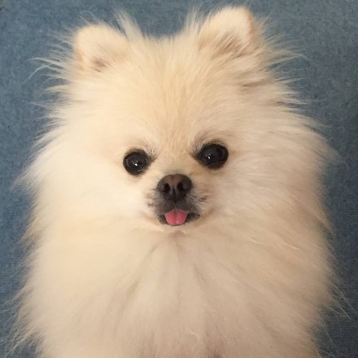 B8263a97 83c8 4aa6 9df1 698424b4e8ef 1509747743310