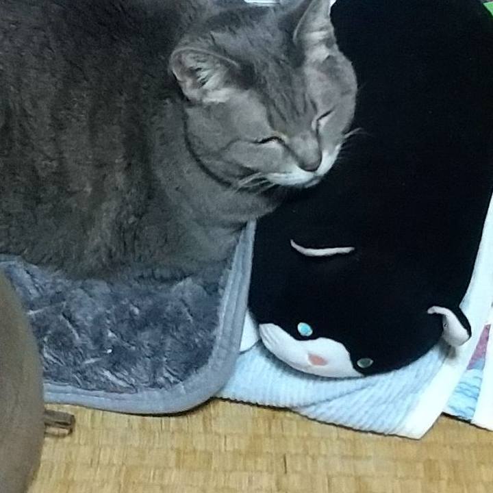 B8265831 ebb7 4d9a 8cec 32436364fcb4 1642347042702