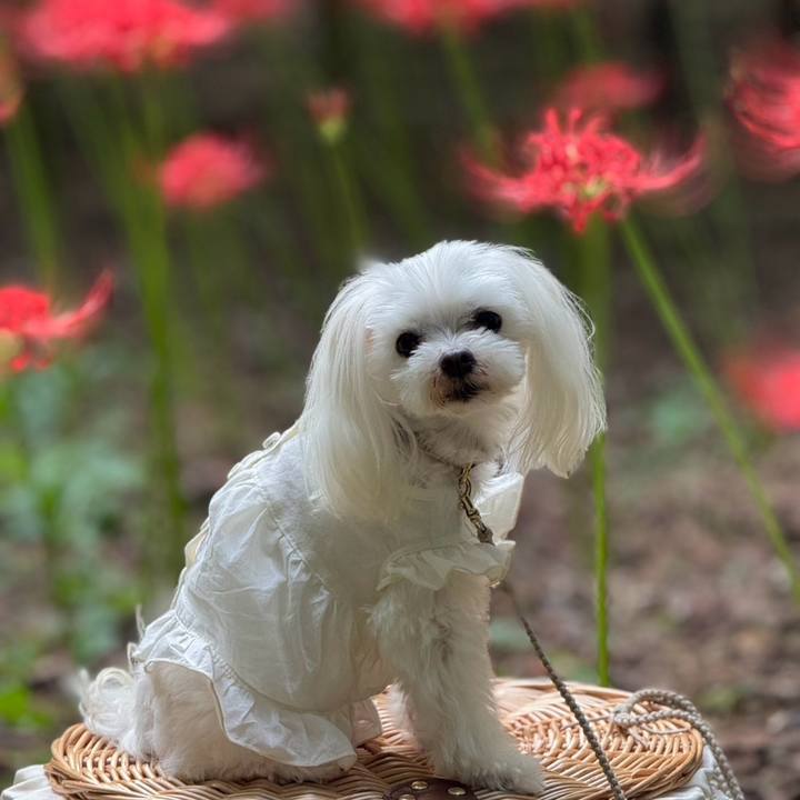 B8266859 47cb 444b b9fe 3b169934eeed 1758885957681