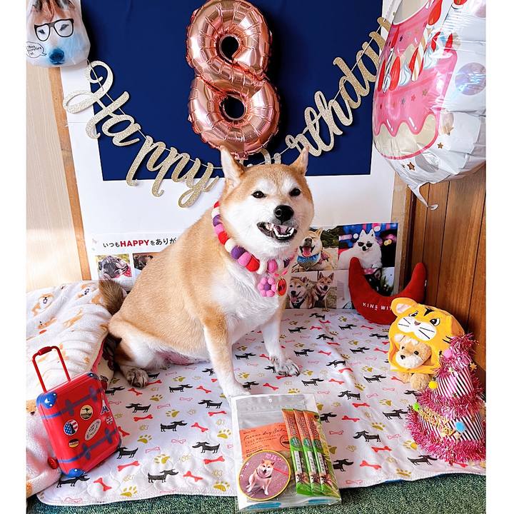 B8266b14 8a47 4092 b532 c6f8b16a8ebe 1668131142379