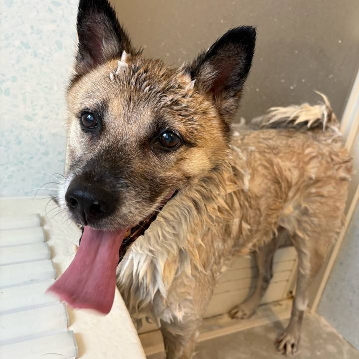 B8268868 7646 452d 9cbb 7d0cd3ffa124 1758366108497