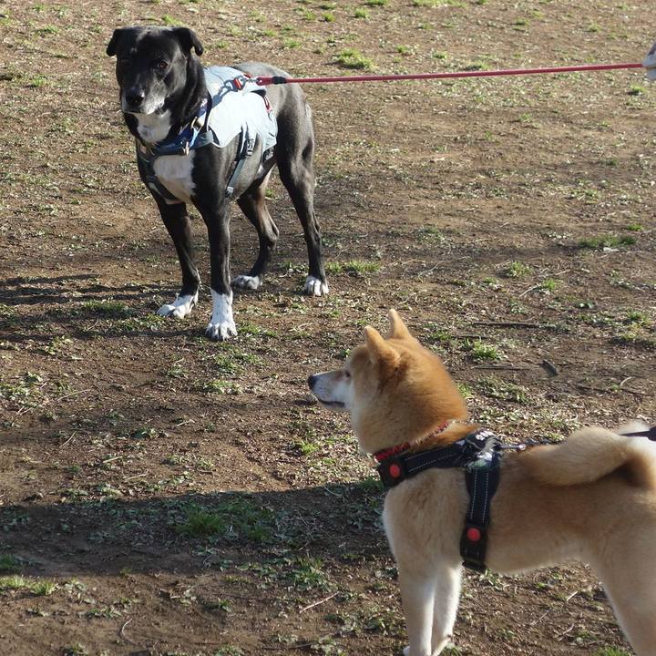 B826894e 918f 4c78 b697 77ced039b025 1710894715606