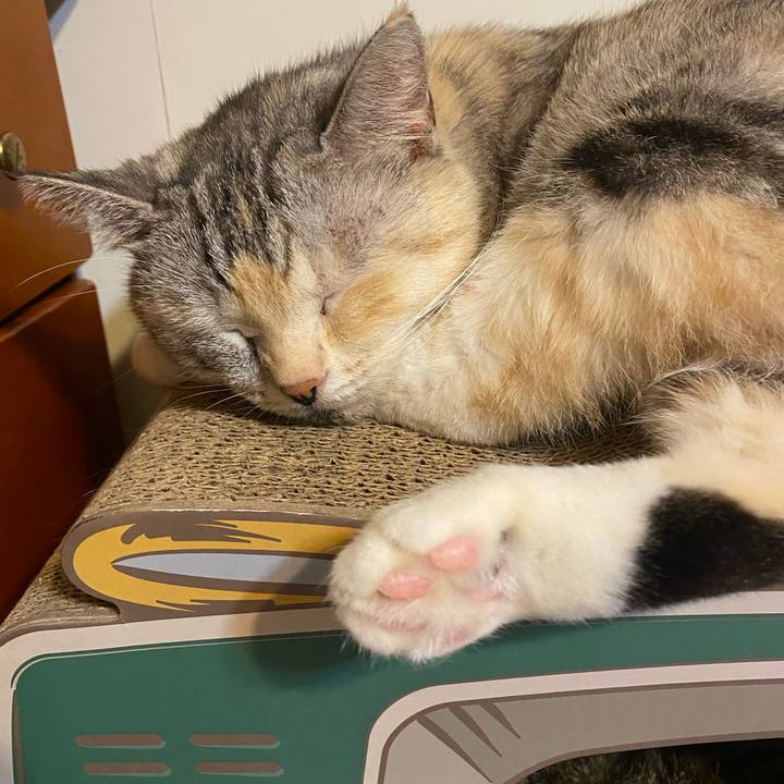 B826950f d667 49aa 8bcc 0e483982b10d 1632222757605