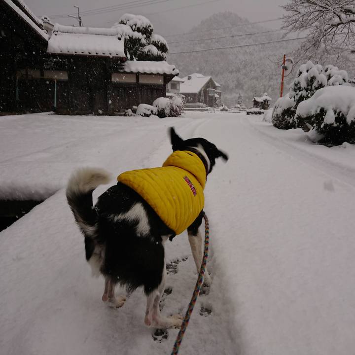 B8269820 ccd7 4209 8a97 bf7700a1f512 1517059800538