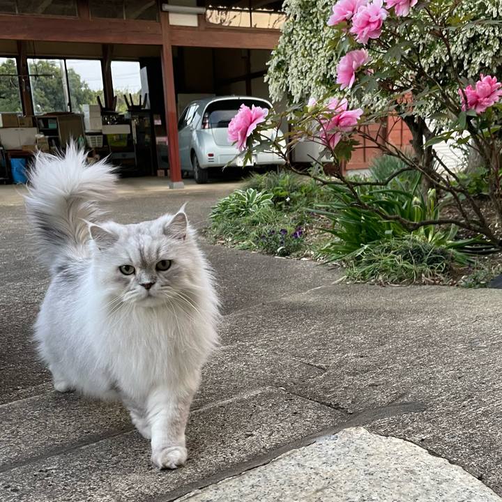 B8269c37 c32e 4254 a9e2 05c12240e92d 1681971004935