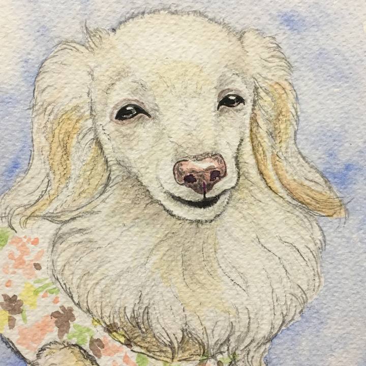 B826ac61 fea7 4bff a73c a3eab1da821d 1562244822181