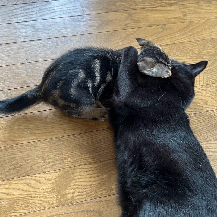 B826d1fa 8bba 4ff2 b6f8 16991831c194 1726381456732