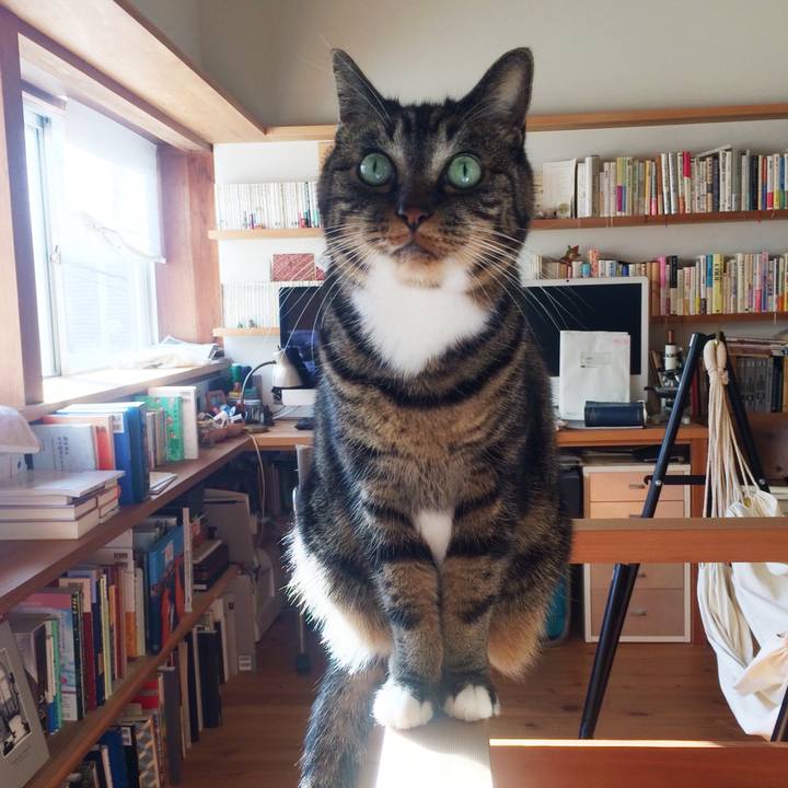 B8270849 14a1 480d b413 a0a7e6477b08 1514292406502