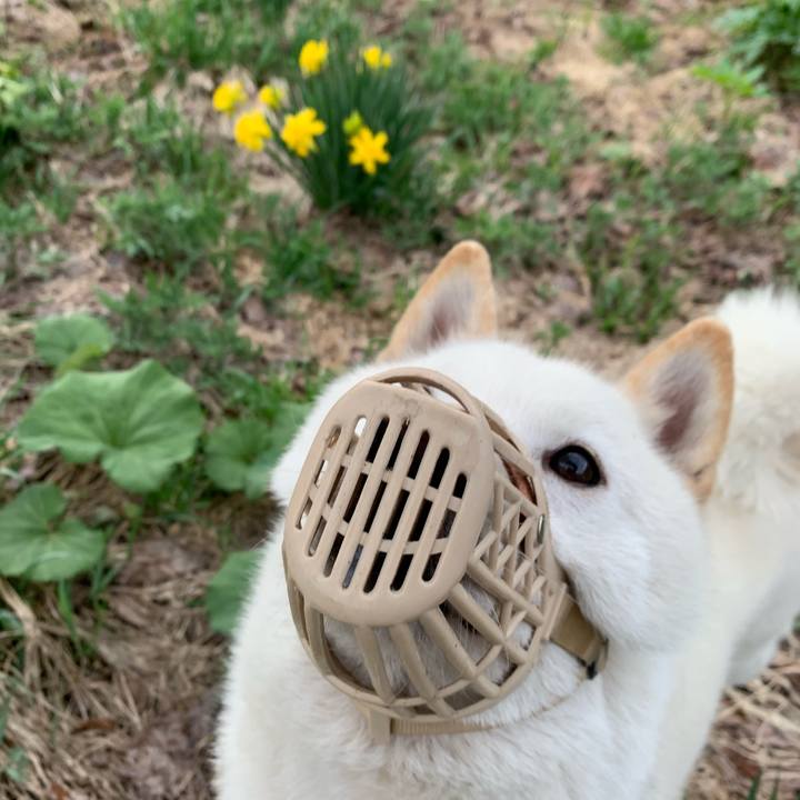 B827098f 2e37 4bf9 aa96 4993ae77614b 1557100049035