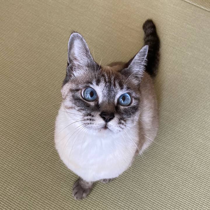 B8270cbe 35ab 443c b66d b56e4defb1f1 1644109018727