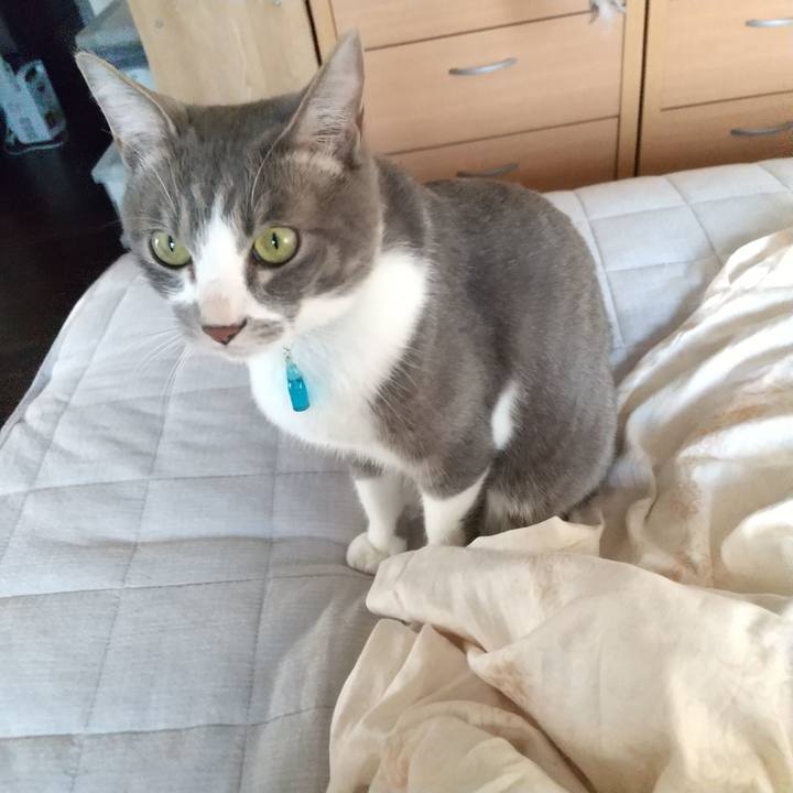 B8278fdb e404 4d23 8813 26b6866926d8 1620077943609