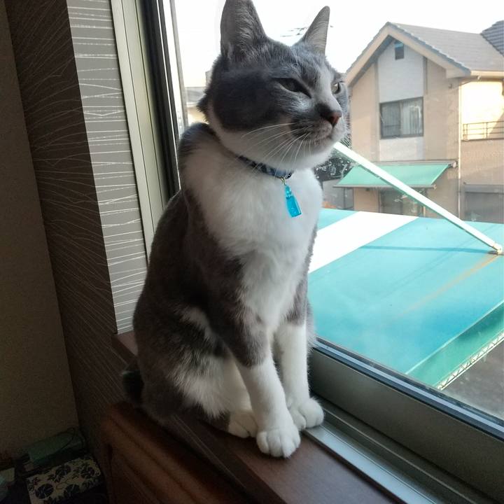 B827a9b8 2fad 4bf0 ae4e d37bf7450f1e 1615932862342