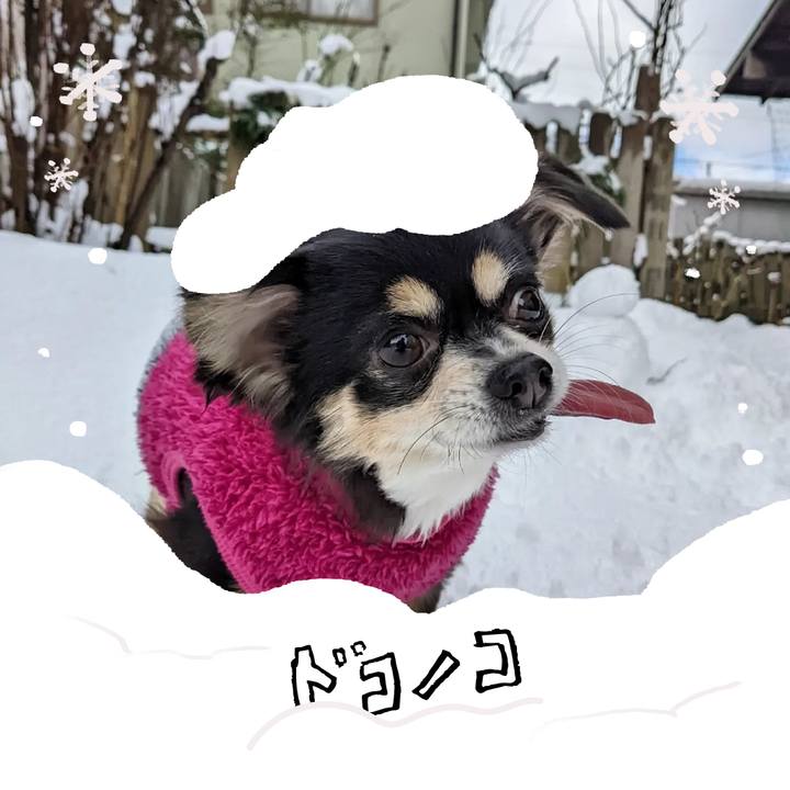 B827ba6d 4b47 482f 930b 408593c23a13 1772023234881