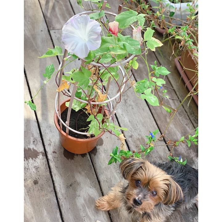 B827c252 cb4d 49e2 b478 fd3d9f24e584 1631487270241