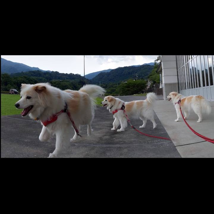 B827ca8b bac0 4614 9db6 8ce215c7ff26 1661813902970