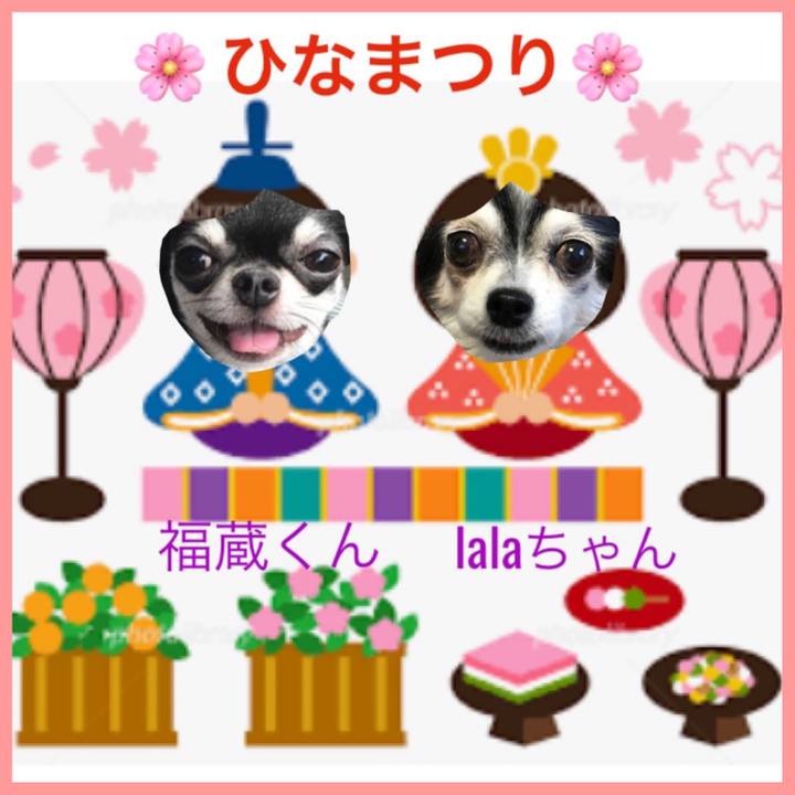 B827d049 960a 42d4 98eb a3eaf4ae5109 1646287687694