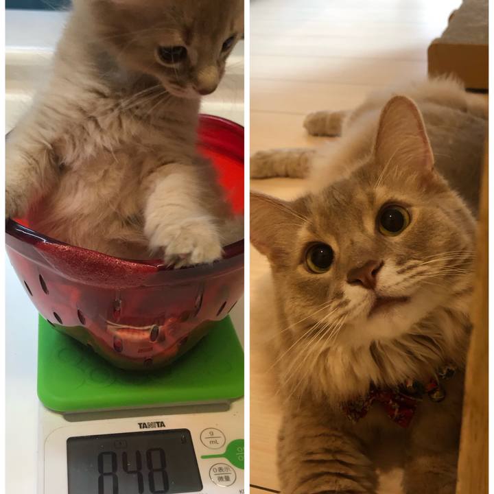 B827edf1 7b8b 488c 9671 0b5b5aeaaba8 1690024940559