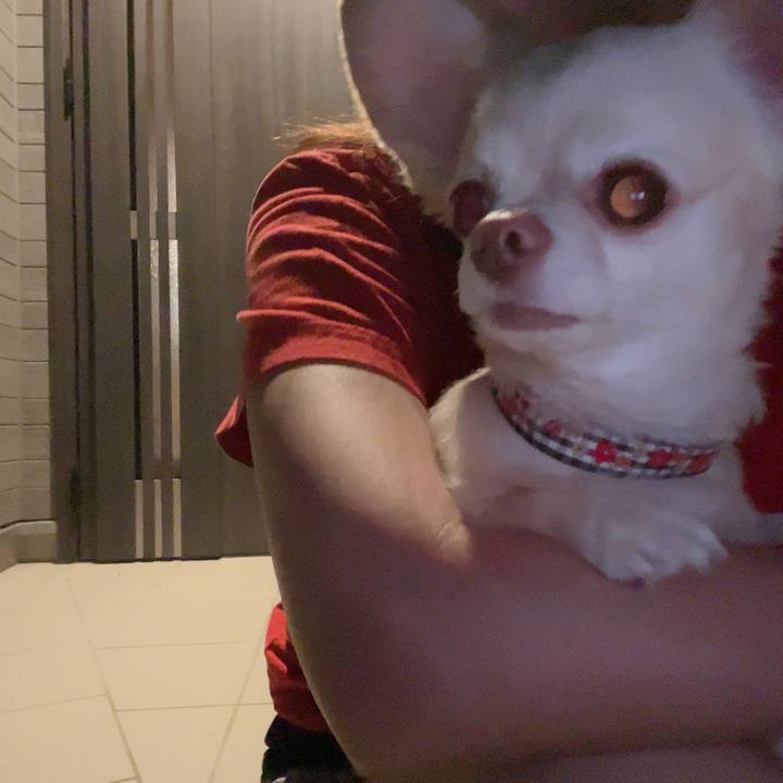 B8280b68 ce30 4a12 8e37 fcc9f0127834 1724334144592