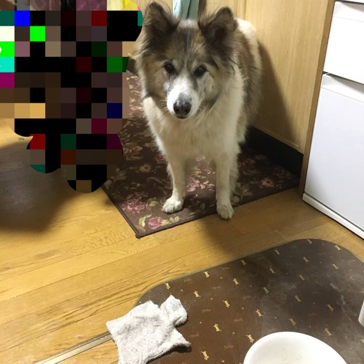 B8281854 fa81 46b4 80c3 25dca1239e5a 1510214828897