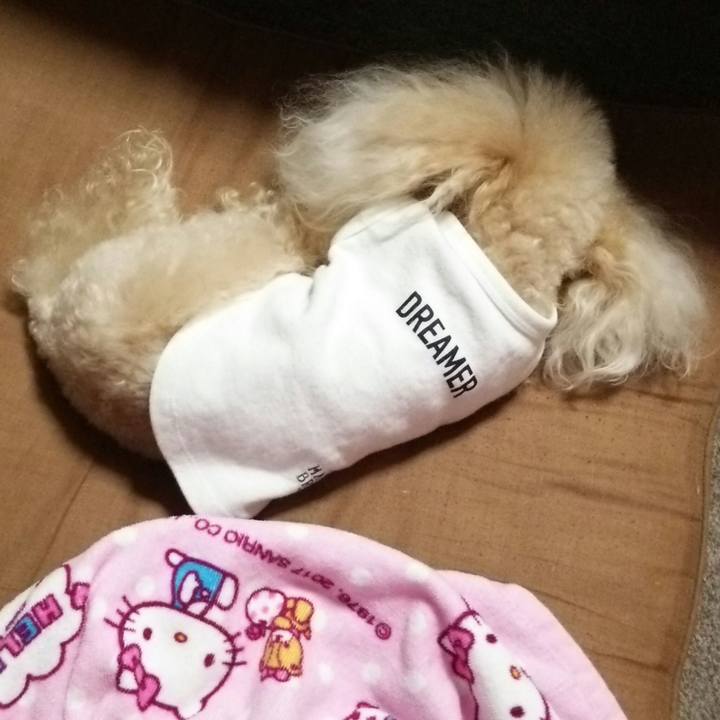 B8282019 175f 46c9 9520 49491b52b8ef 1536499160745