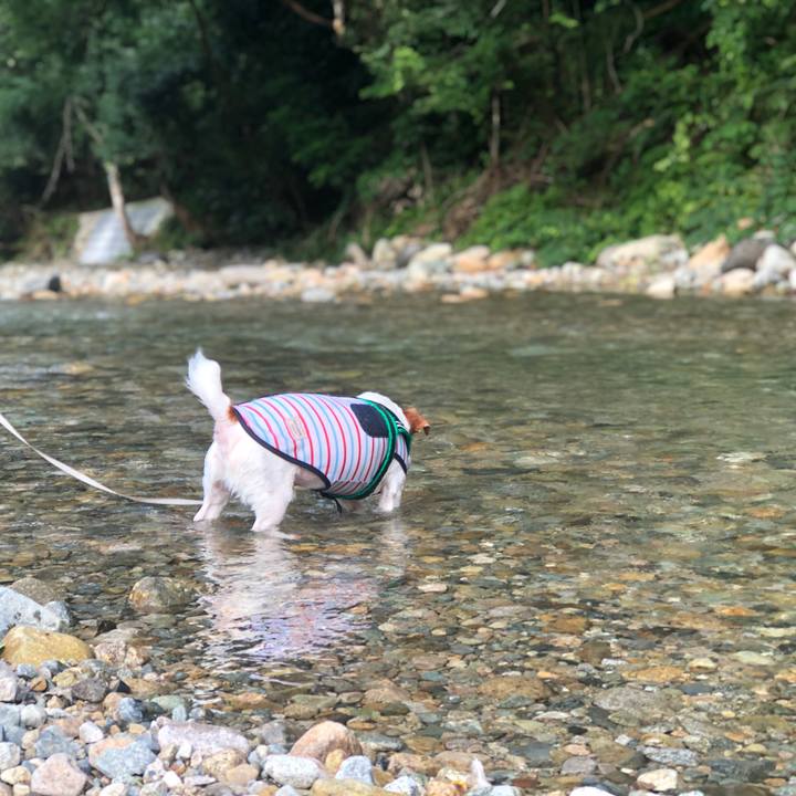 B8282866 568b 4a5b 8eb8 534c9c670b75 1721973917348